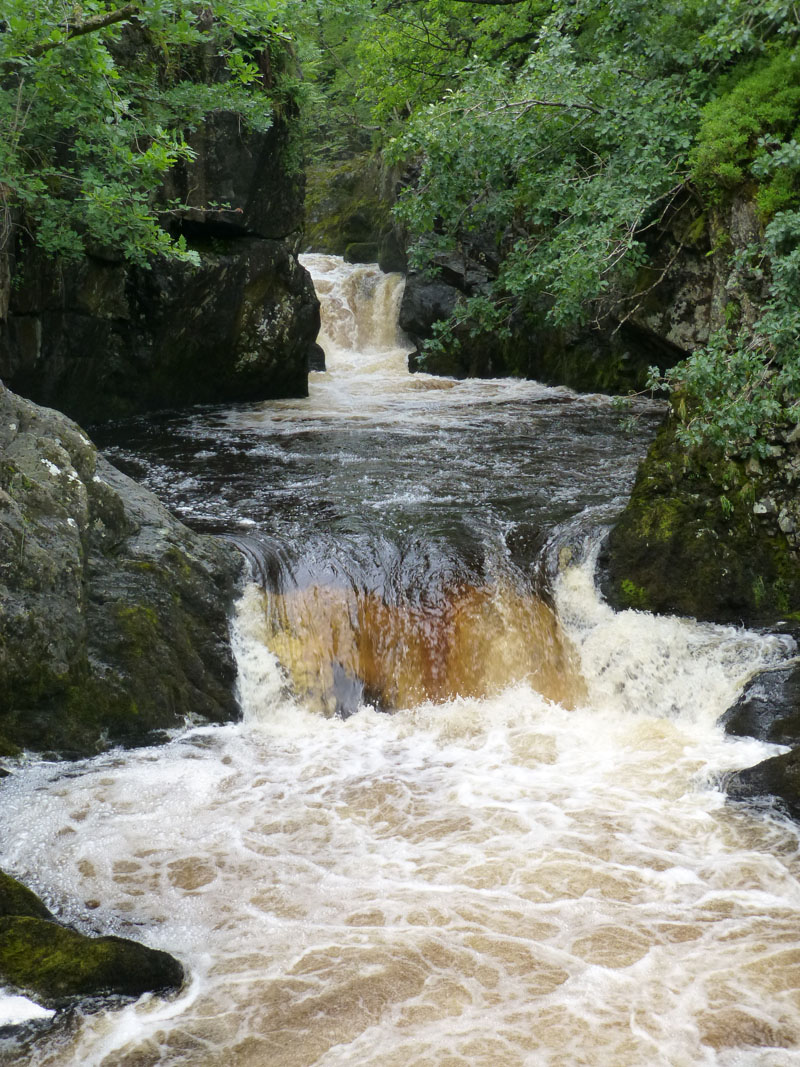 Rival Falls
